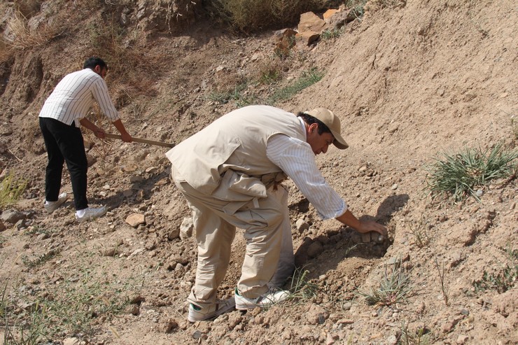 bursada-yasayan-artvinli-doga-tutkunu-gezgin-ve-fotograf-sanatcisi-huseyin-oral-16-yildir-biriktirdigi-binlerce-meyve-ve-agac-tohumunu-1281-kilometre-uzakliktaki-memleketi-artvine-tasiyarak-to-12.jpg