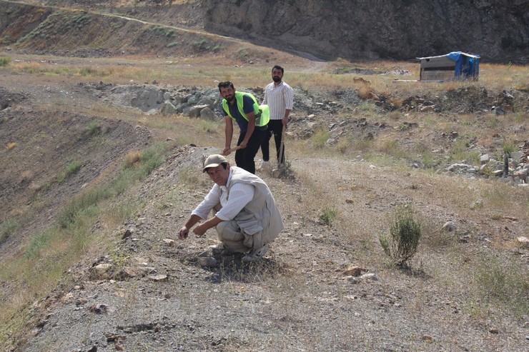 bursada-yasayan-artvinli-doga-tutkunu-gezgin-ve-fotograf-sanatcisi-huseyin-oral-16-yildir-biriktirdigi-binlerce-meyve-ve-agac-tohumunu-1281-kilometre-uzakliktaki-memleketi-artvine-tasiyarak-to-14.jpg