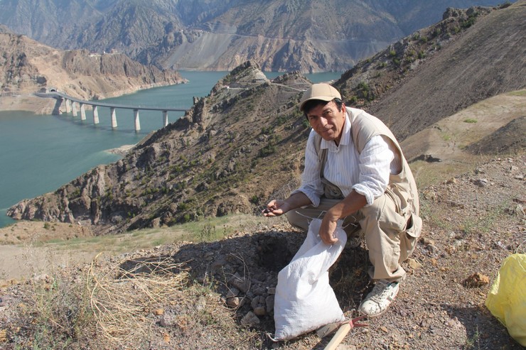 bursada-yasayan-artvinli-doga-tutkunu-gezgin-ve-fotograf-sanatcisi-huseyin-oral-16-yildir-biriktirdigi-binlerce-meyve-ve-agac-tohumunu-1281-kilometre-uzakliktaki-memleketi-artvine-tasiyarak-to-15.jpg