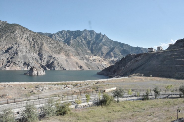 bursada-yasayan-artvinli-doga-tutkunu-gezgin-ve-fotograf-sanatcisi-huseyin-oral-16-yildir-biriktirdigi-binlerce-meyve-ve-agac-tohumunu-1281-kilometre-uzakliktaki-memleketi-artvine-tasiyarak-to-18.jpg