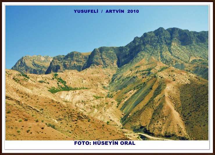 bursada-yasayan-artvinli-doga-tutkunu-gezgin-ve-fotograf-sanatcisi-huseyin-oral-16-yildir-biriktirdigi-binlerce-meyve-ve-agac-tohumunu-1281-kilometre-uzakliktaki-memleketi-artvine-tasiyarak-to-24.jpg