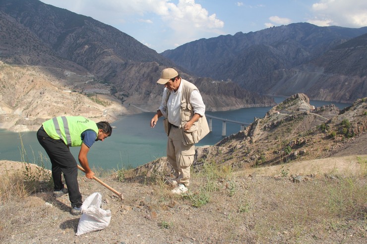 bursada-yasayan-artvinli-doga-tutkunu-gezgin-ve-fotograf-sanatcisi-huseyin-oral-16-yildir-biriktirdigi-binlerce-meyve-ve-agac-tohumunu-1281-kilometre-uzakliktaki-memleketi-artvine-tasiyarak-to-8.jpg