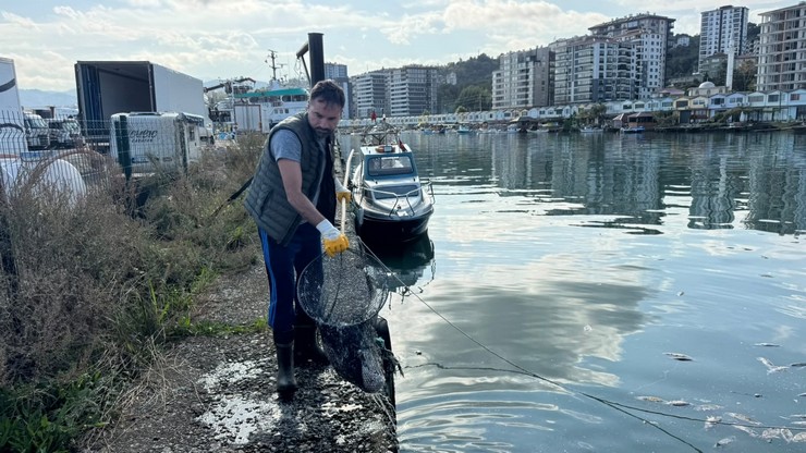 rizenin-pazar-ilcesinde-asiri-avlanma-sonrasi-denize-dokulen-ezilmis-palamutlarin-yol-actigi-kirlilik-ve-agir-koku-pazar-belediyesi-ile-kirazlik-balikci-barinaklari-kooperatifi-ekiple-1.jpg
