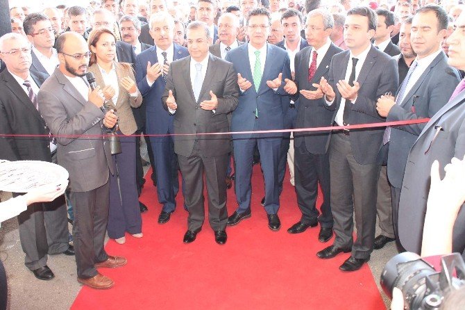 Kadınlardan En Hızlı Domates Yeme Yarışması