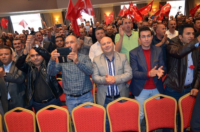 Çimse-iş’te 5 Şube Ve 5 Bölge Temsilciliği Açıldı