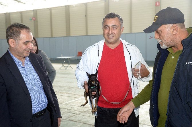 Adana’da Köpek Irkları Yarıştı