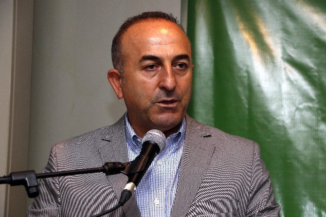 Ak Parti Genel Başkan Yardımcısı Çavuşoğlu: