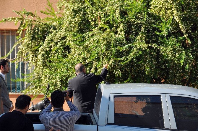 Ak Parti Genel Başkan Yardımcısı Mevlüt Çavuşoğlu:
