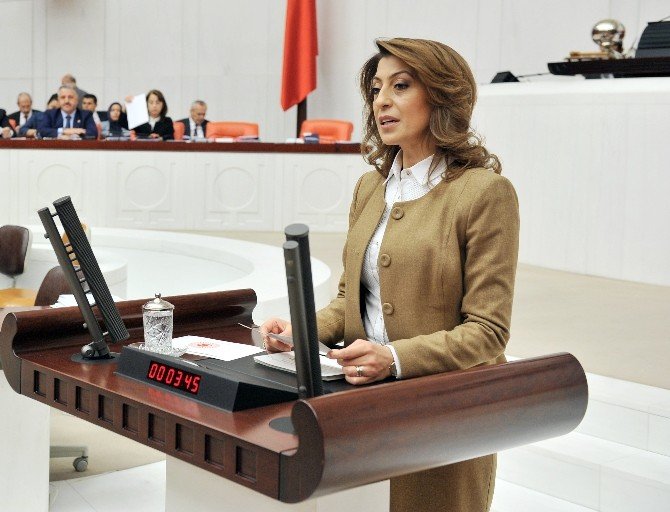 Nesrin Ulema: “Türkiye Artık Eski Türkiye Değil”