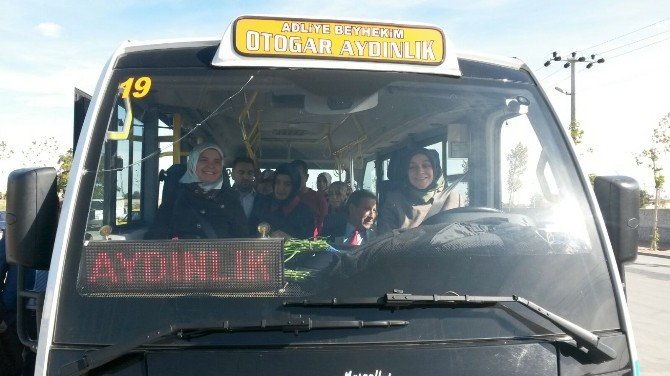 Ak Partili Kadın Milletvekilleri Dolmuş Şoförü Oldu