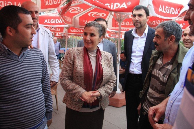 Vatandaştan Ak Parti’li Tülay Kaynarca’ya: “Tek Çaremiz Sizsiniz”