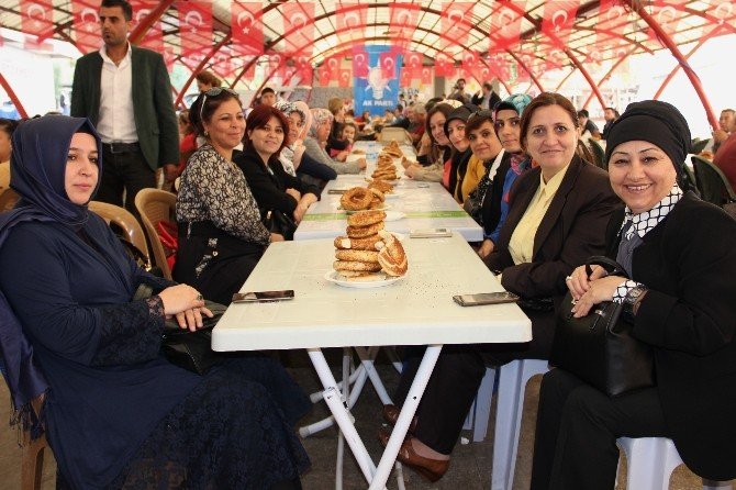 Arınç, Bahçeli’nin ‘Hayır’ Söylemlerini Ti’ye Aldı