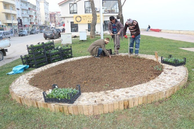 Akçakoca Çiçek Açacak