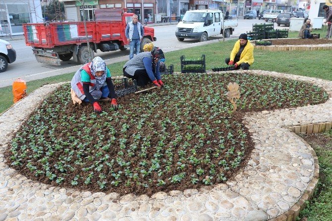 Akçakoca Çiçek Açacak