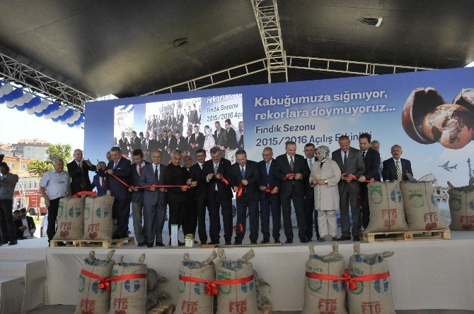 İlk Fındık İhracatı Akçakoca’dan