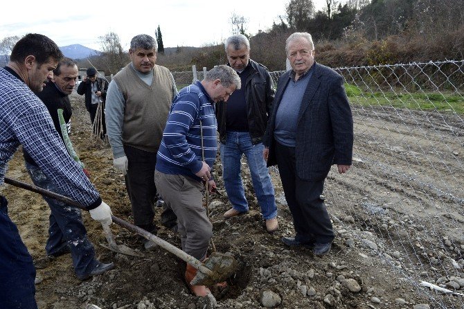 20 Dönümlük Çöplük, Çilek Bahçesi Olacak