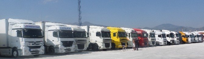 Avrupa Ve Rusya’ya Sezonun İlk Sultaniye Üzümü İhracatı Başladı