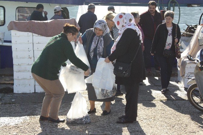 Amasra’da Hamsi 50 Kuruş