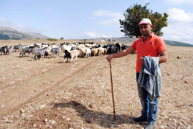 Başlık Parasıyla Dolandırılan Çobanı Polis Kurtardı