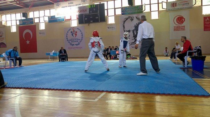 Mudanya’da Tekvando Şampiyonası