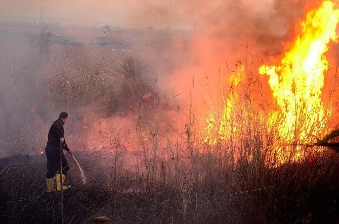 Düzce İtfaiyesi Geçen Yıl 297 Yangına Müdahale Etti