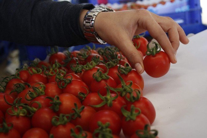 Antalyalı Üreticiler Umudunu Irak’a Bağladı