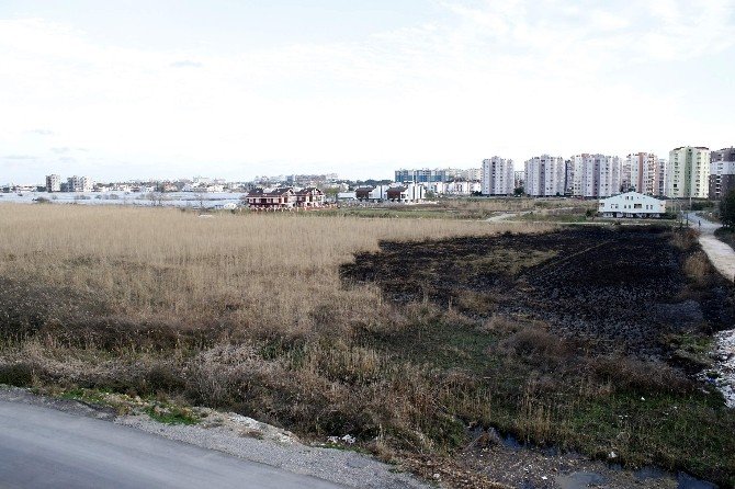 Kuş Cenneti ’Yamansaz’ Yok Oluyor