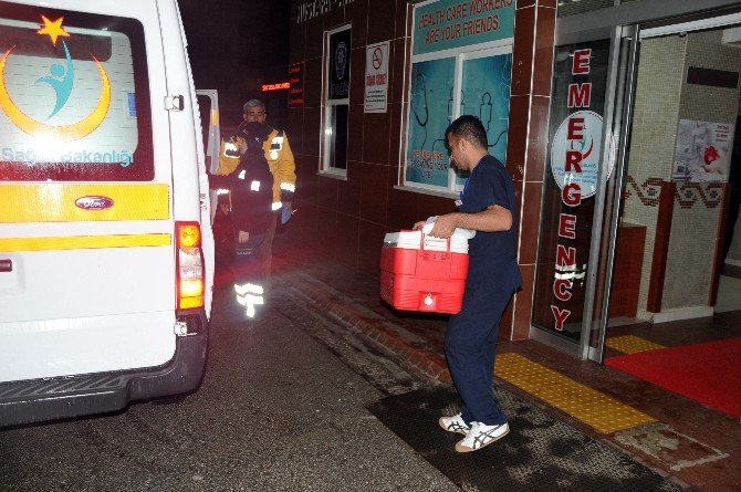 Alanya’da Organ Nakli