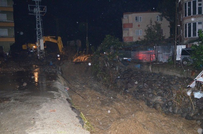 Vali Cirit Hopa’da İncelemelerde Bulundu.