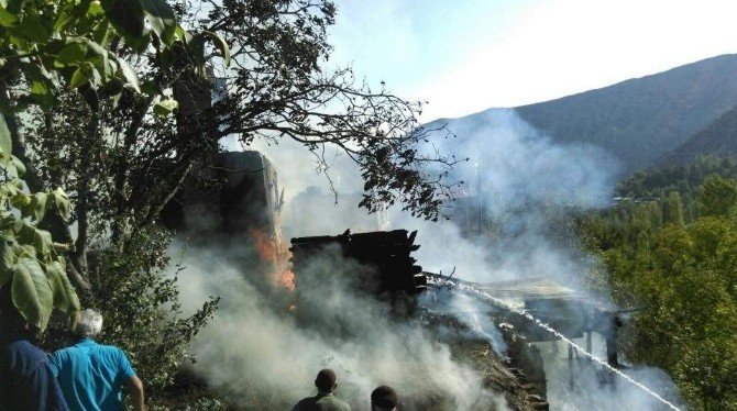 Artvin’de Yangın