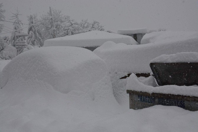 Burası Erzurum Değil Trabzon