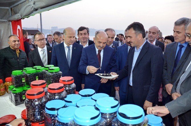 Sağlık Bakanı Müezzinoğlu Zeytin Festivalinde