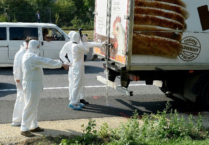 Avusturya’da Kamyonda Ölü Bulunan Sığınmacı 71’e Yükseldi