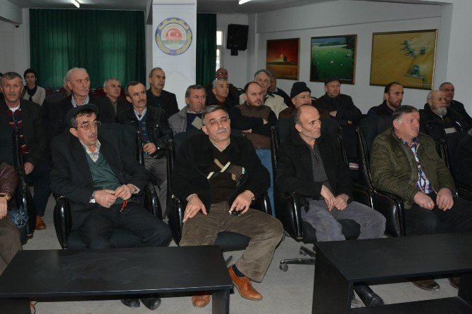 Bafra’da Budama Ve Aşılama Kursu
