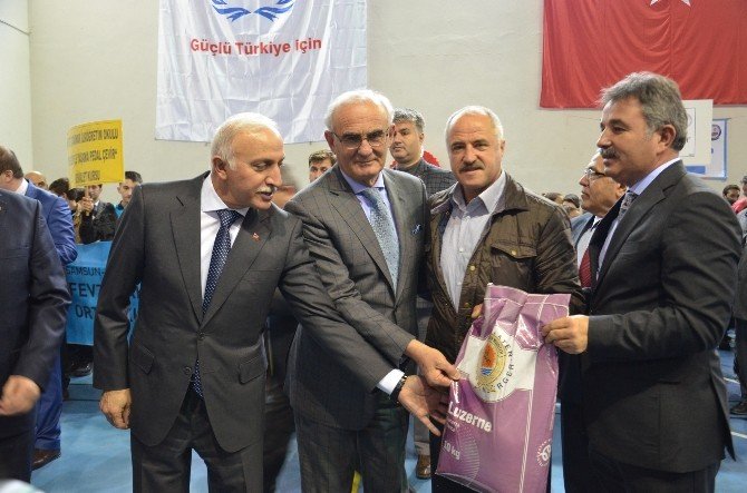 Bafra’da Yem Bitkisi Tohumu Dağımı