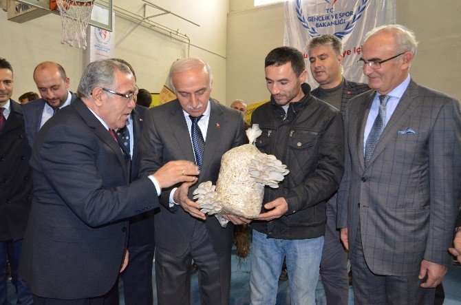 Bafra’da Yem Bitkisi Tohumu Dağımı
