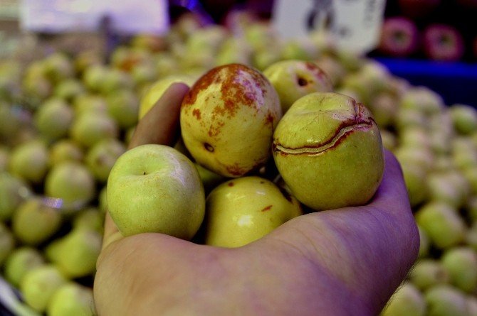 Damar Açıcı Hünnap Kalp Dostu