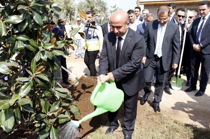 Gıda, Tarım Ve Hayvancılık Bakanı Arzu, Expo Alanına Ağaç Dikti