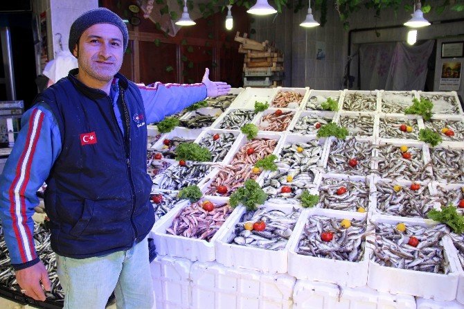 Havalar Isınınca Hamsi Soğuk Sulara Kaçtı