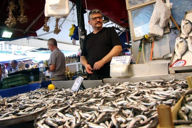 Pazar’da Hamsi Bereketi