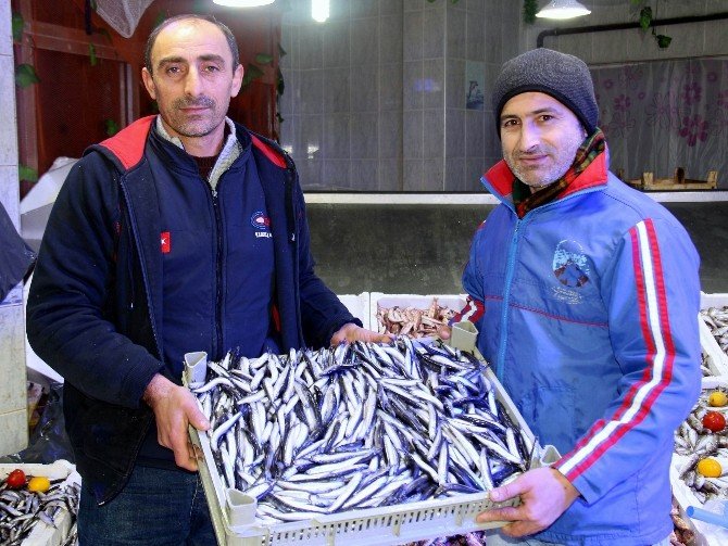 Samsun’da Hamsi 8 Lira