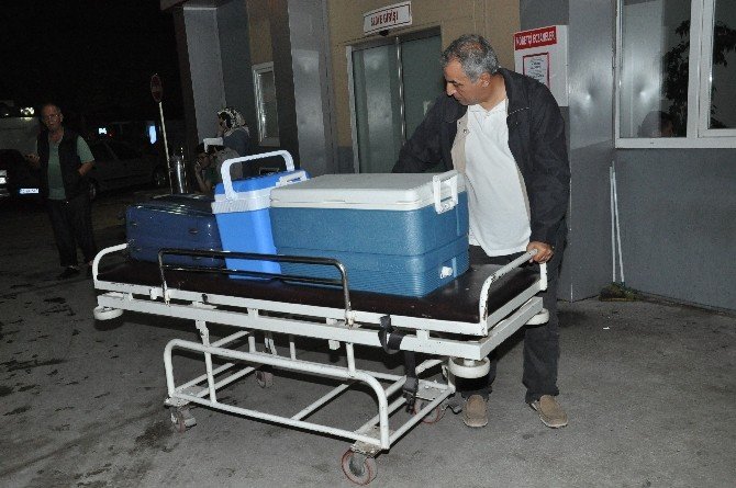 Balıkesir Organ Doku Nakil Koordinatörlüğü Rekora Koşuyor