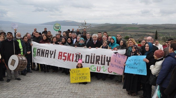 Termik Santrale Karşı Davul Çaldılar