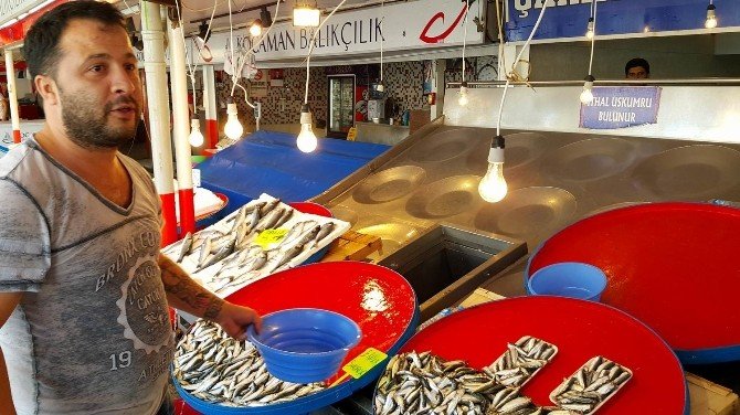 Balıkçılar "Vira Bismillah" Demek İçin Yarını Bekliyor