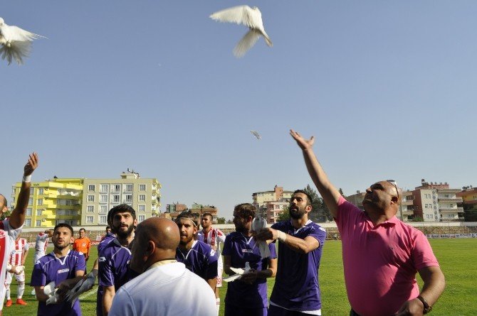 Barış Güvercinleri Pfdk’ya Sevk Edildi