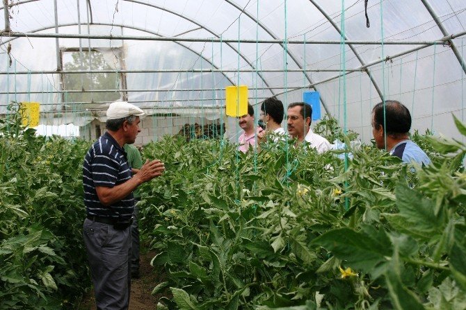 Bartınlı Çiftçiye 2016 Yılında 16 Milyon Tl Destekleme