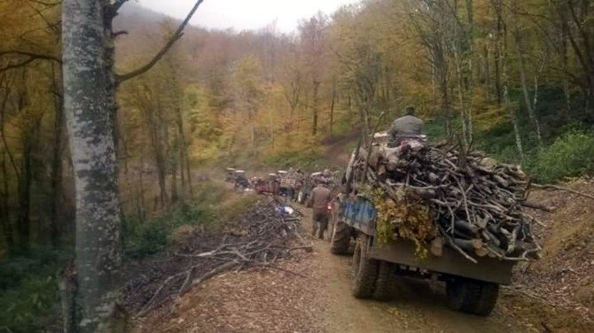 Kestiği Ağacın Üzerine Devrilmesi Sonucu Hayatını Kaybetti