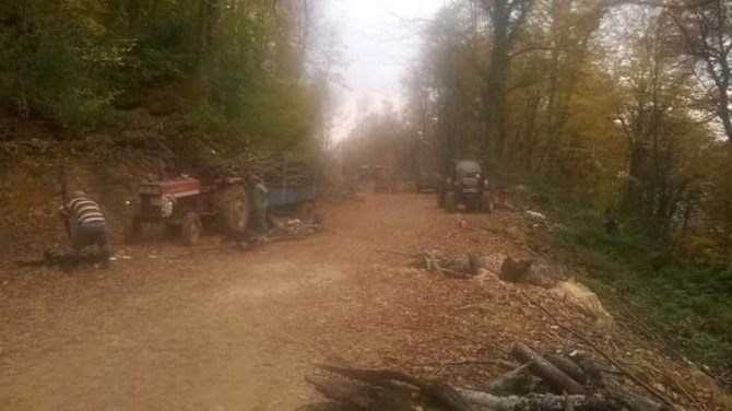 Kestiği Ağacın Üzerine Devrilmesi Sonucu Hayatını Kaybetti