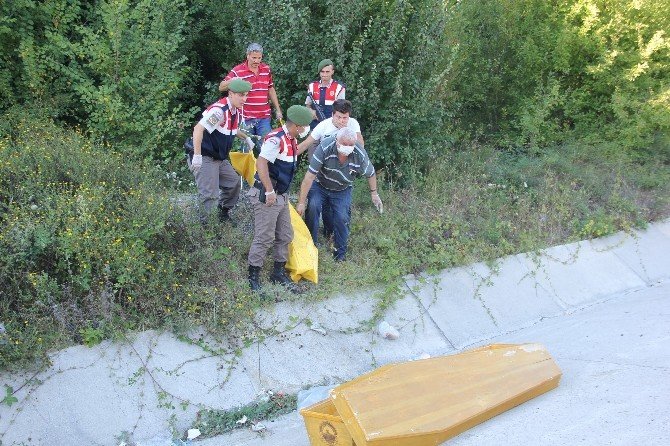 Bartın’da Ormanlık Alanda Erkek Cesedi Bulundu