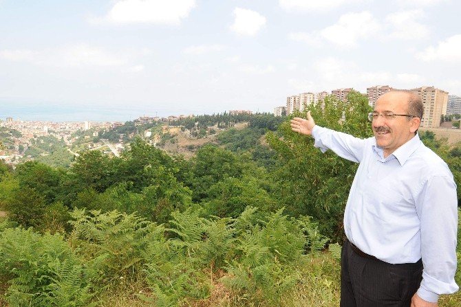 Botanik’te Çalışmalar Aralıksız Sürüyor